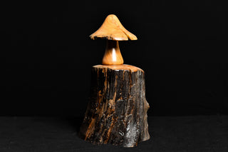 #001 - Osage Orange Mushroom