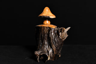 #002 - Osage Orange Mushroom