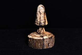 #009 - Hackberry Mushroom