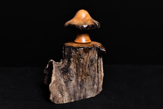 #010 - Osage Orange Mushroom