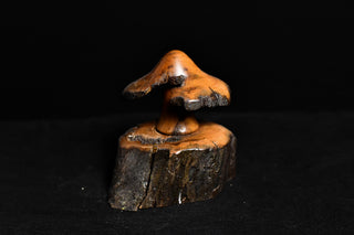 #013 - Cherry Mushroom