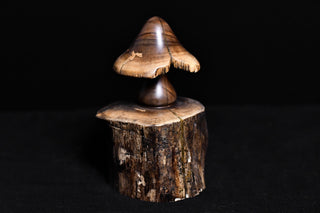 #017 - Walnut Mushroom