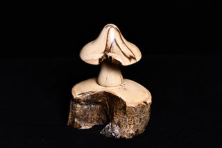 #019 - Hackberry Mushroom