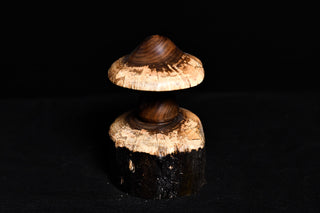 #021 - Walnut Mushroom