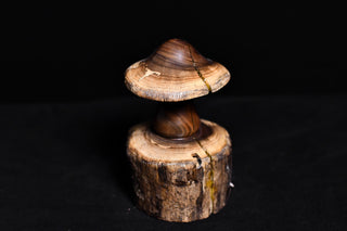 #022 - Walnut Mushroom